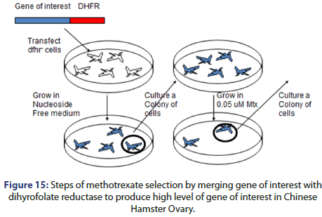 jbclinpharm-reductase