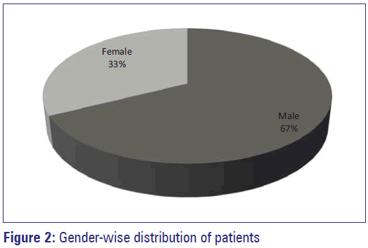 Basic-Clinical-Pharmacy-Gender-wise-distribution