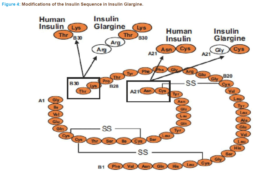 Basic-Clinical-Pharmacy-Insulin-Sequence-Glargine