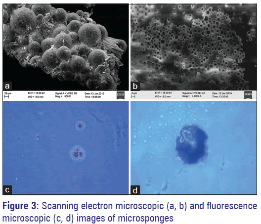 Basic-Clinical-Pharmacy-Scanning-electron-microscopic