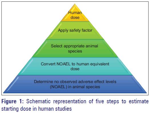 Basic-Clinical-Pharmacy-Schematic-estimate-dose