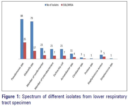 Basic-Clinical-Pharmacy-Spectrum-isolates-respiratory