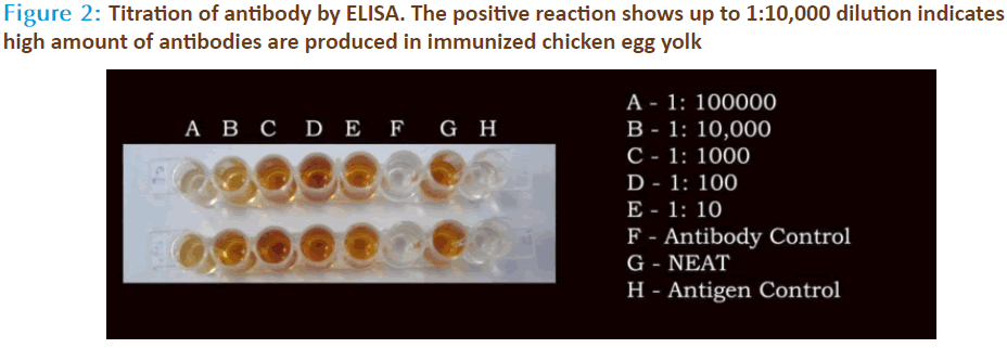 Basic-Clinical-Pharmacy-Titration-dilution-chicken