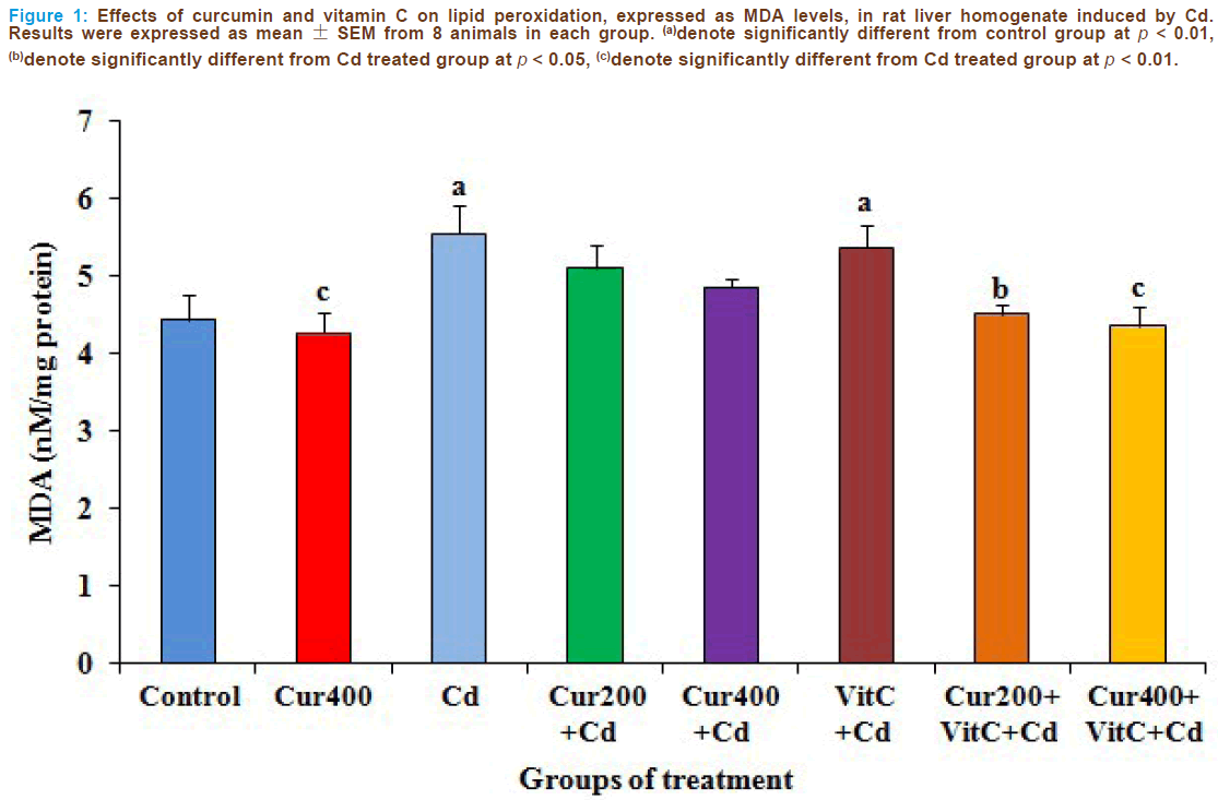 Basic-Clinical-Pharmacy-curcumin-vitamin-lipid