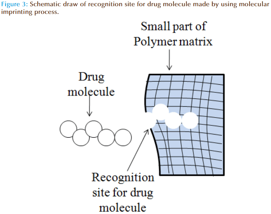 Basic-Clinical-Pharmacy-drug-molecule-imprinting