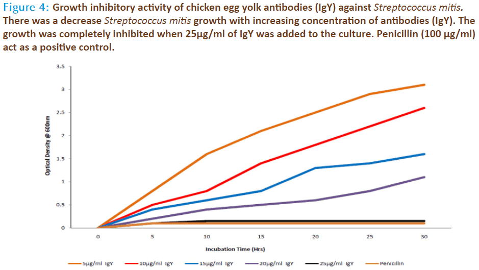 Basic-Clinical-Pharmacy-inhibitory-chicken-yolk