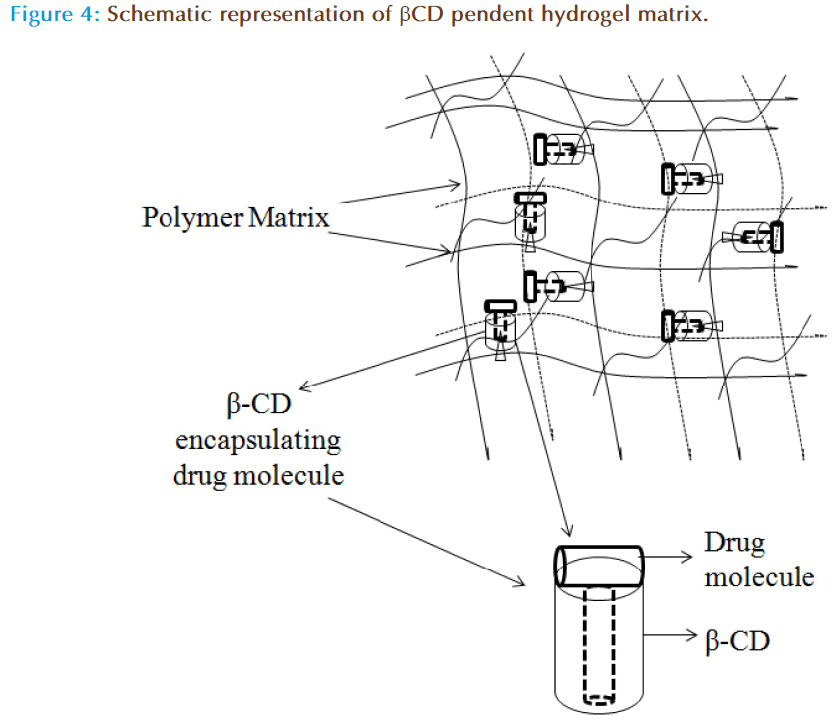 Basic-Clinical-Pharmacy-pendent-hydrogel-matrix