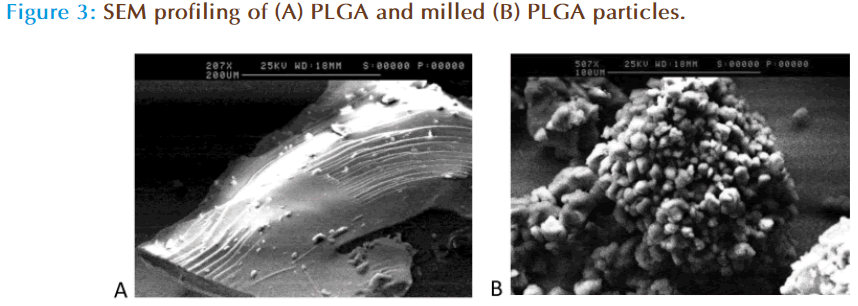 Basic-Clinical-Pharmacy-profiling-milled-PLGA