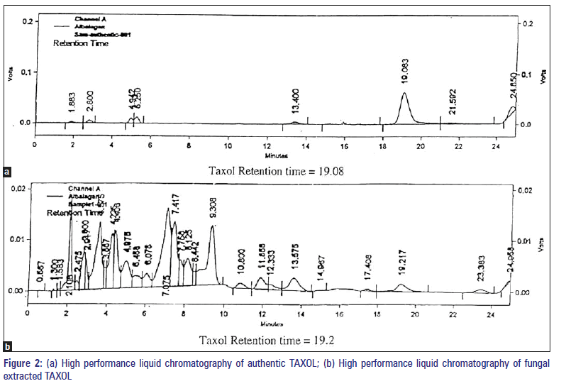 Basic-clinical-pharmacy-High-performance-liquid-chromatography