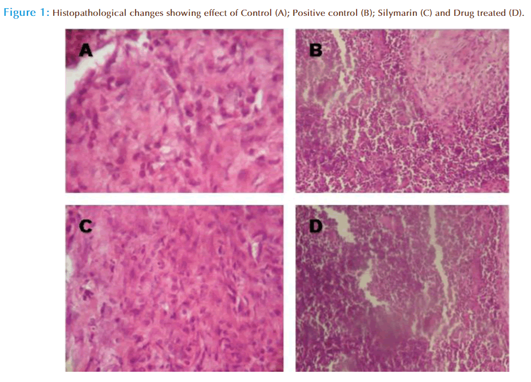 Basic-clinical-pharmacy-Histopathological-changes