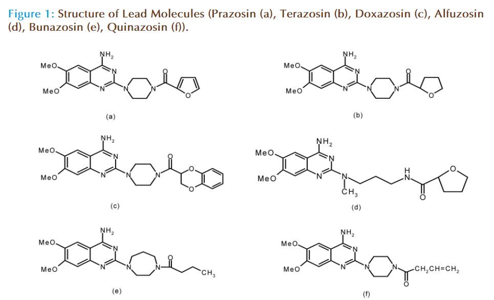 Basic-clinical-pharmacy-Lead-Molecules