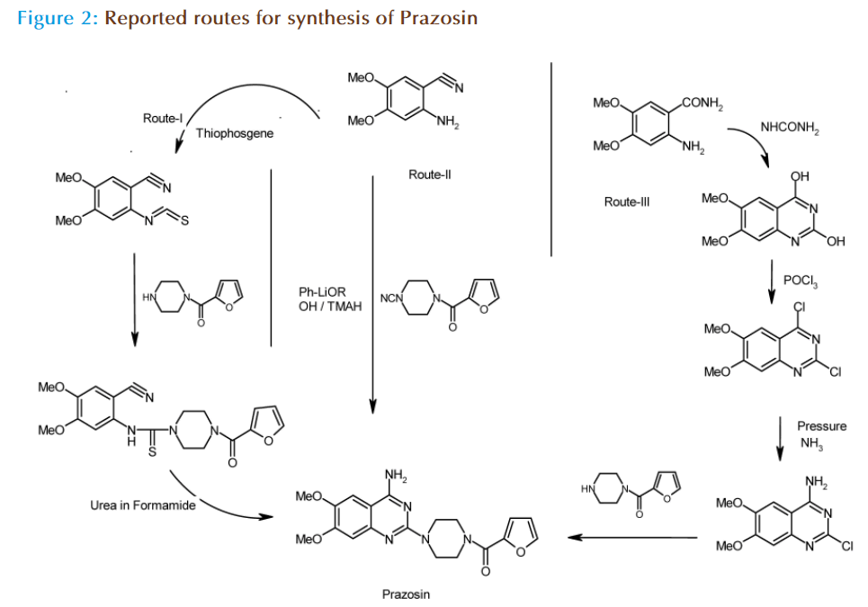 Basic-clinical-pharmacy-Reported-routes