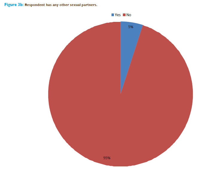 Basic-clinical-pharmacy-Respondent-other-sexual-partners