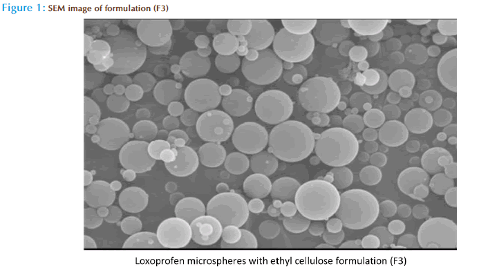 Basic-clinical-pharmacy-SEM-image-formulation