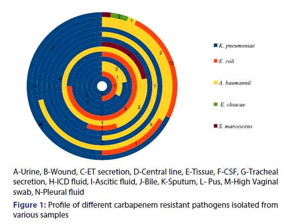 Basic-clinical-pharmacy-carbapenem-resistant