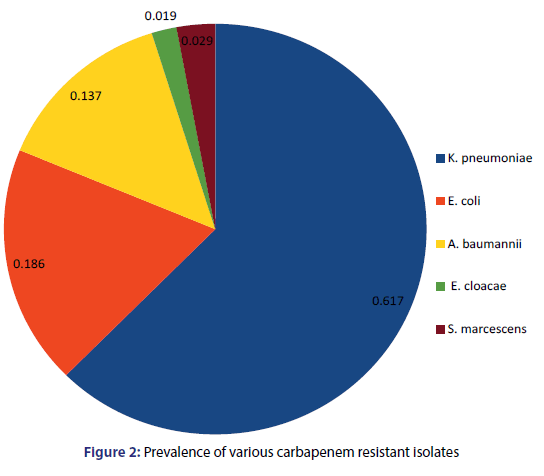 Basic-clinical-pharmacy-carbapenem-resistant