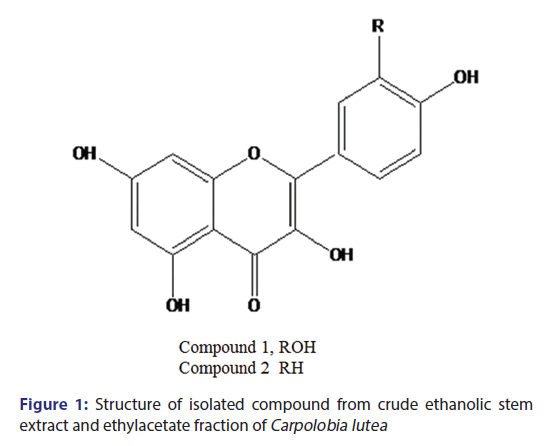 Basic-clinical-pharmacy-ethylacetate-fraction