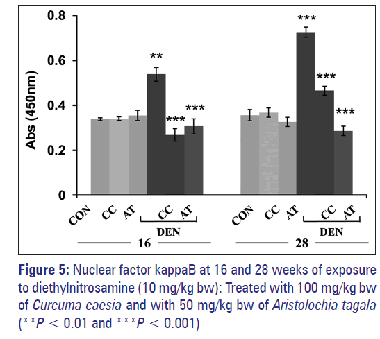 Basic-clinical-pharmacy-exposure-diethylnitrosamine