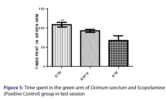 Basic-clinical-pharmacy-green-arm-Ocimum