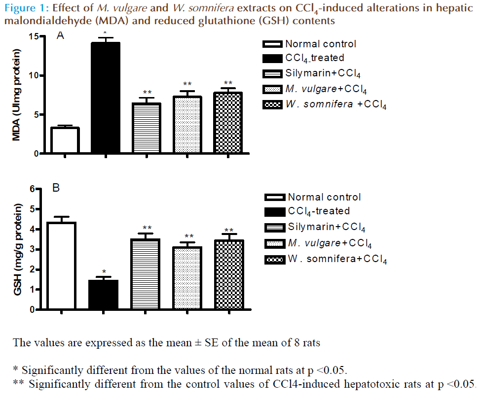 Basic-clinical-pharmacy-hepatic-malondialdehyde