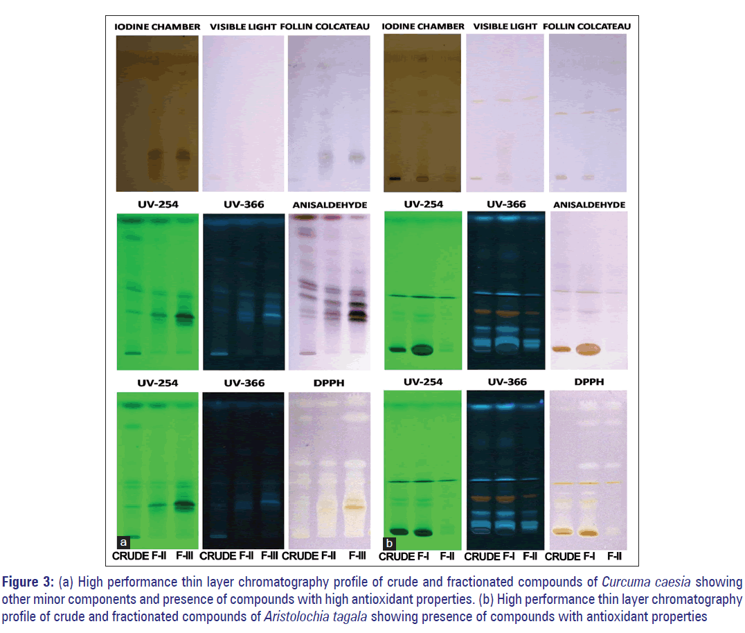 Basic-clinical-pharmacy-layer-chromatography-profile