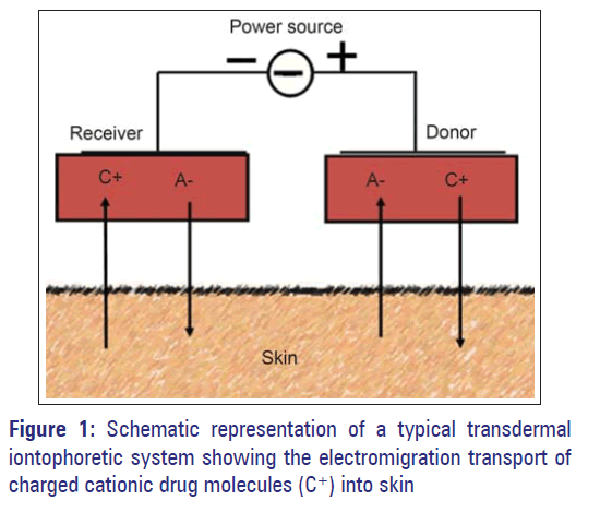 Basic-clinical-pharmacy-typical-transdermal-iontophoretic-system