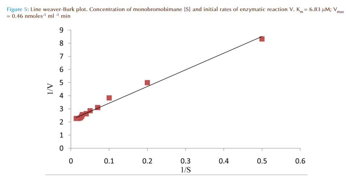 Basic-clinical-pharmacy-weaver-Burk-plot