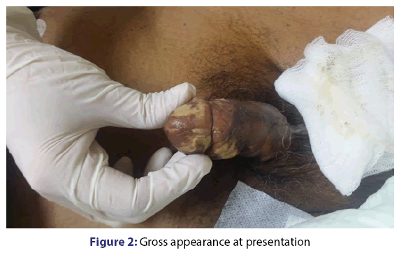 basic-Clinical-pharmacy-Gross-appearance