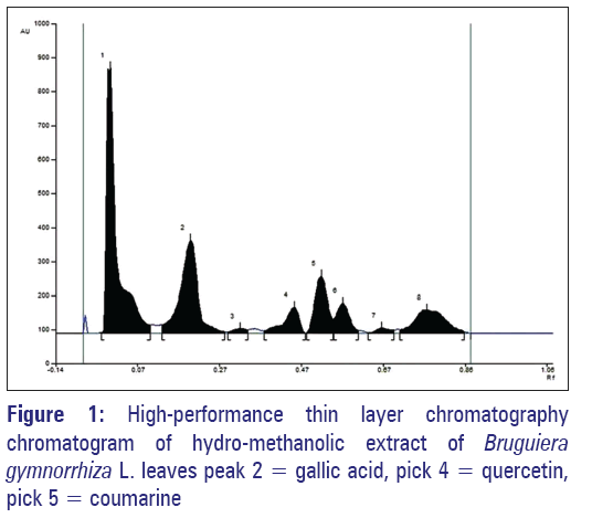 basic-Clinical-pharmacy-High-performance