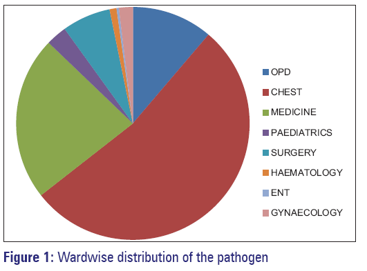 basic-Clinical-pharmacy-Wardwise-distribution