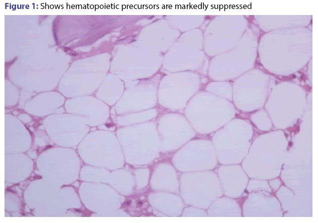 basic-Clinical-pharmacy-hematopoietic-precursors