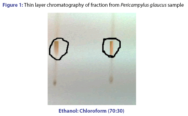 basic-Clinical-pharmacy-layer-chromatography