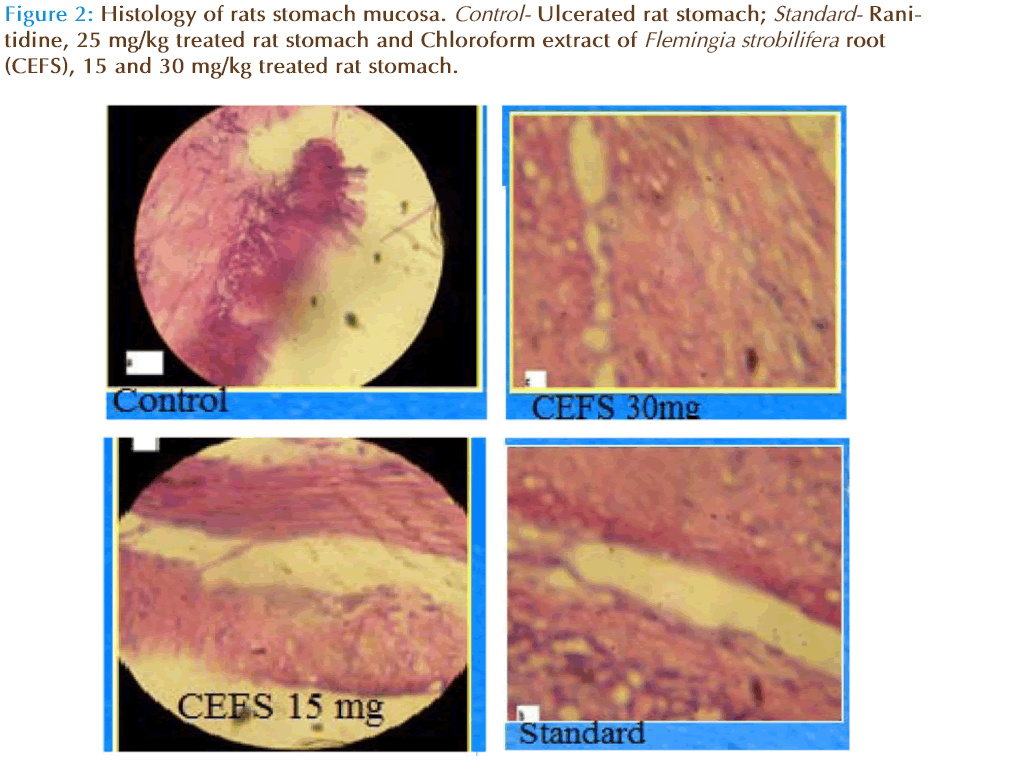 basic-Clinical-pharmacy-rats-stomach