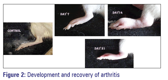 basic-Clinical-pharmacy-recovery-arthritis