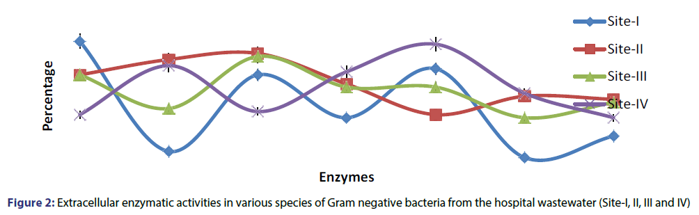 basic-clinical-pharmacy-Extracellular-enzymatic