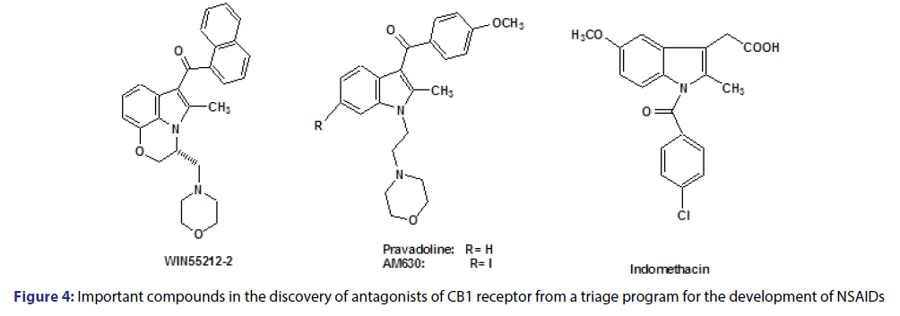 basic-clinical-pharmacy-Important-compounds