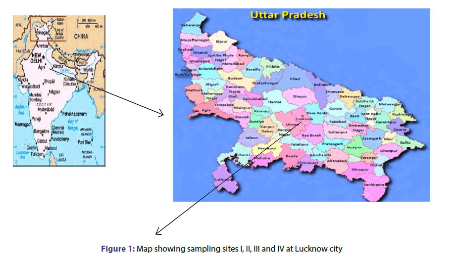 basic-clinical-pharmacy-Lucknow-city