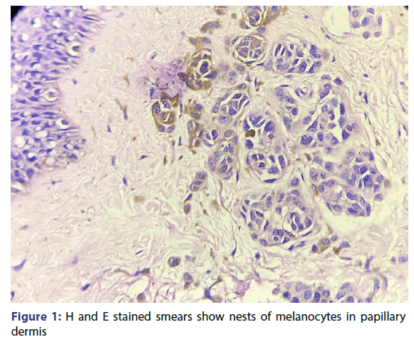 basic-clinical-pharmacy-stained-smears