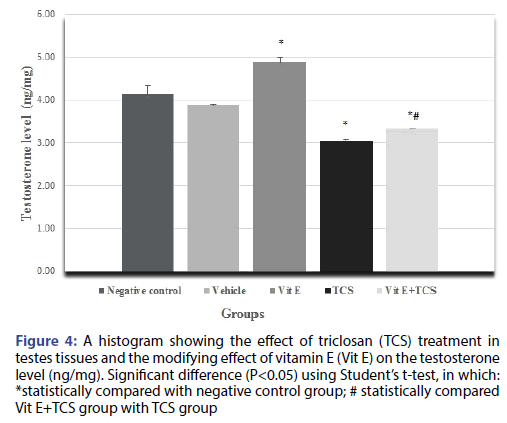 basic-clinical-pharmacy-testosterone