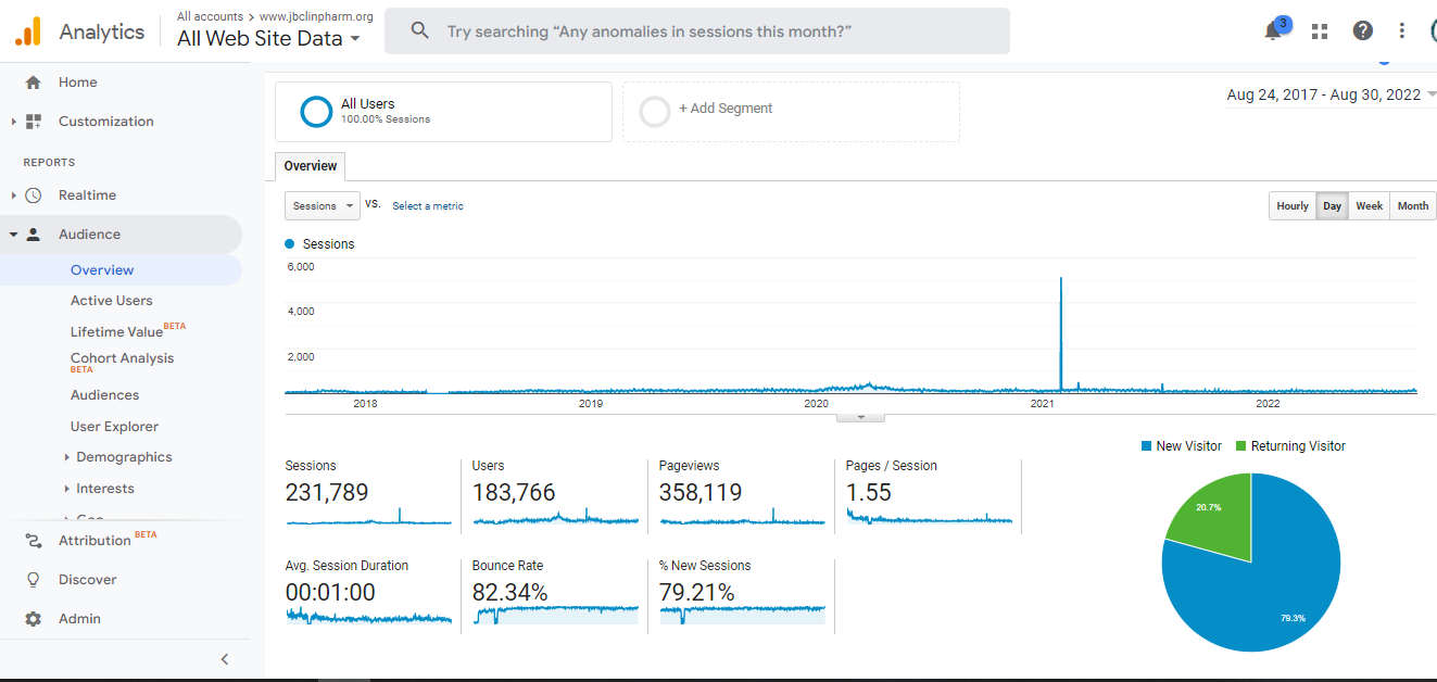 Visitor Analysis Report